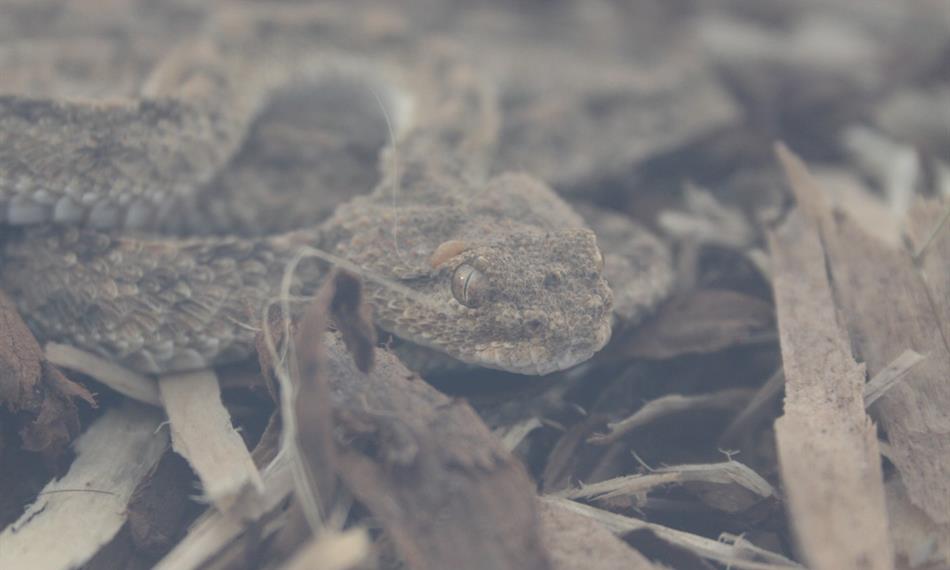 2014-10-21-941CITES 7.jpg